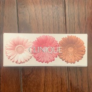 Clinique Cheek POP on the glow palette